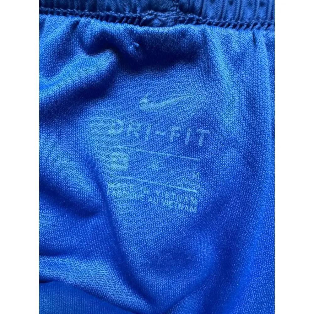 Nike Dri Fit Women's Shorts in Blue Size M